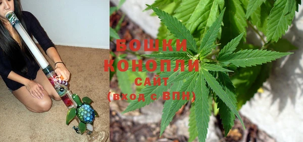 шишки Кизел