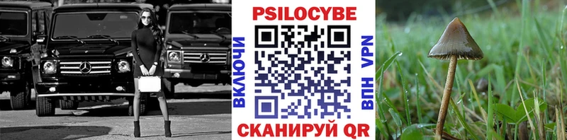наркота  сайты даркнета формула  Псилоцибиновые грибы прущие грибы  Нижняя Тура 